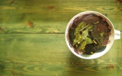 Schlaftee – beruhigt die Verdauung und entspannt deine Nerven (DIY-Rezept)