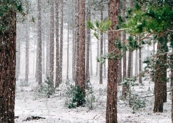 15 Ideen zum Entspannen für lange Winterabende