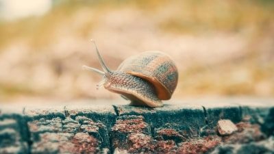 Stress abbauen: 7 Tipps, die dein Leben entschleunigen