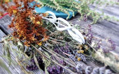 Kalendrische Rituale und ihre magischen Pflanzen